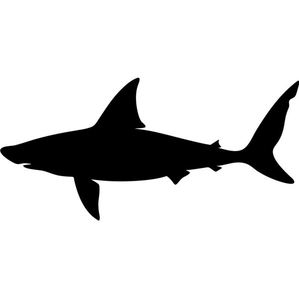 Aquatic Animal1 02 Thumbnail