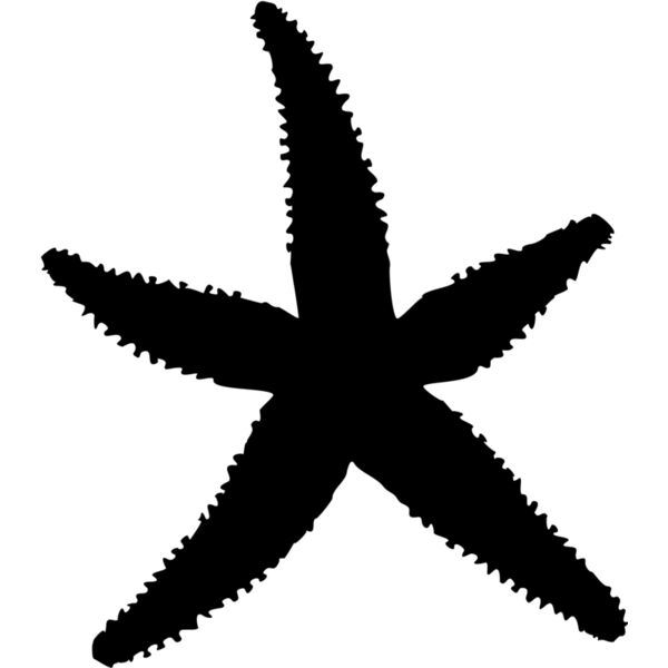 Aquatic Animal1 12 Thumbnail