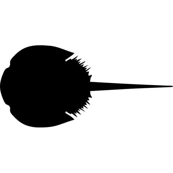 Aquatic Animal1 10 Thumbnail