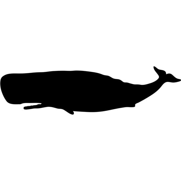 Aquatic Animal1 05 Thumbnail