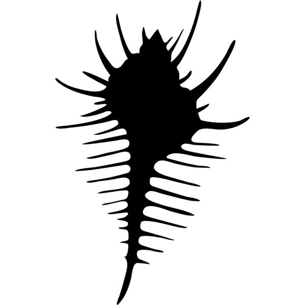 Aquatic Animal1 01 Thumbnail