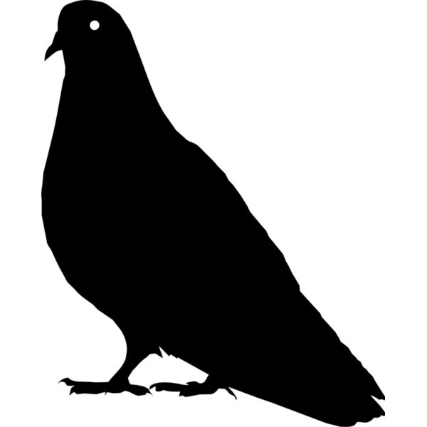 Bird silhouettes1 04 Thumbnail