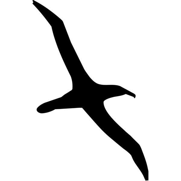 Bird silhouettes1 07 Thumbnail