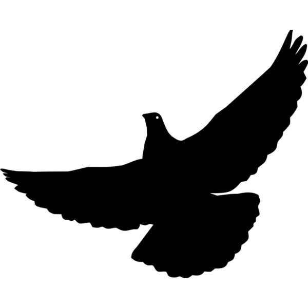 Bird silhouettes1 03 Thumbnail