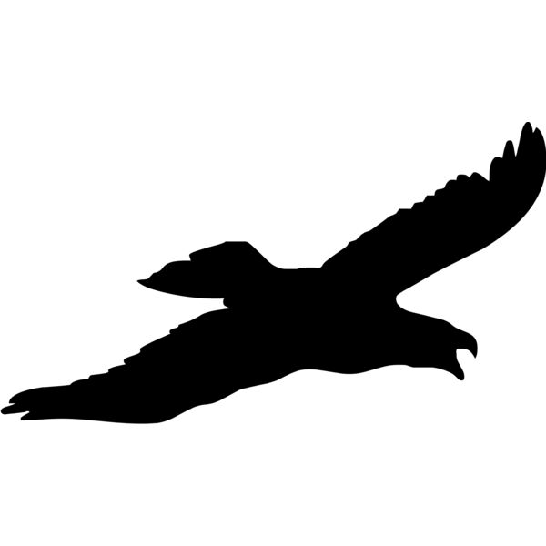 Bird silhouettes1 01 Thumbnail